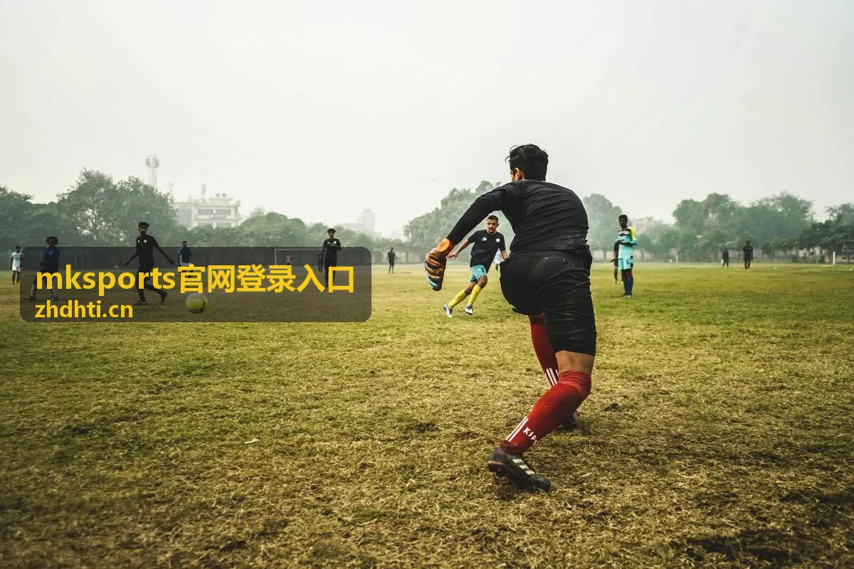 mksports官网登录入口登录指引配图