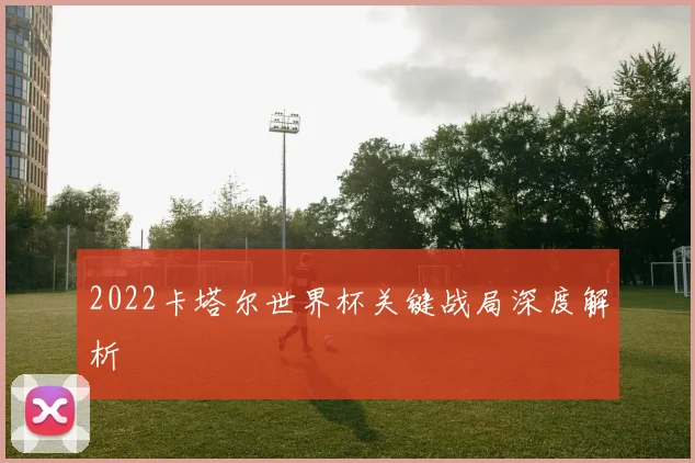 2022卡塔尔世界杯关键战局深度解析