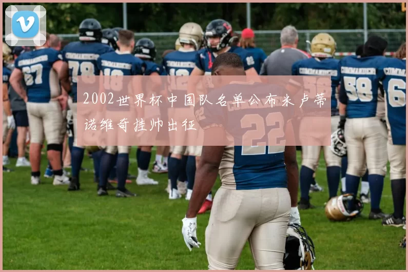 2002世界杯中国队名单公布米卢蒂诺维奇挂帅出征