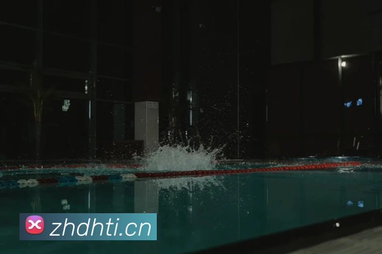 App Interface Preview